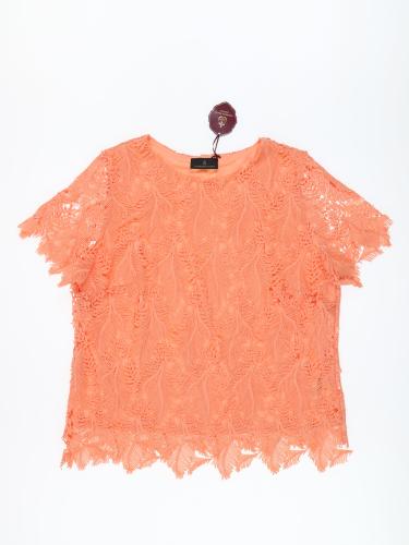 3493 (1) Alfredo Pauly