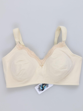 8977 (1) Q-T Intimates
